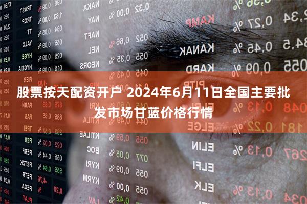 股票按天配资开户 2024年6月11日全国主要批发市场甘蓝价格行情