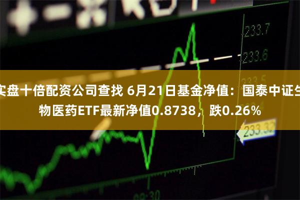 实盘十倍配资公司查找 6月21日基金净值：国泰中证生物医药ETF最新净值0.8738，跌0.26%