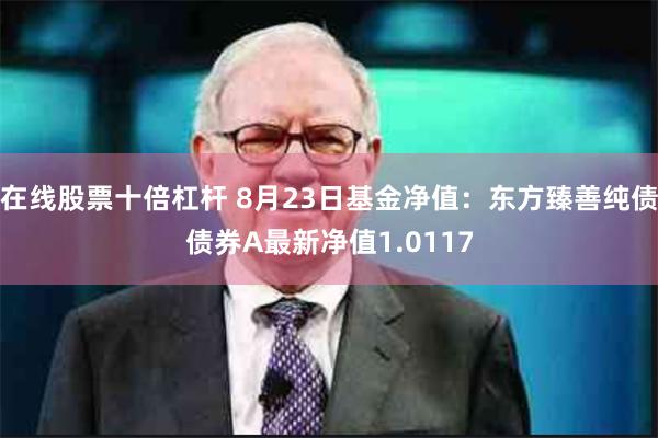 在线股票十倍杠杆 8月23日基金净值：东方臻善纯债债券A最新净值1.0117