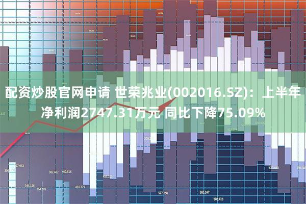 配资炒股官网申请 世荣兆业(002016.SZ)：上半年净利润2747.31万元 同比下降75.09%